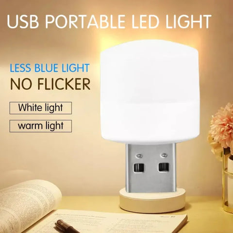 Portable Usb Light For Room Mini Usb Led Night Light Bulb Multipurpose Usb Lighting Bulb – (pack Of 2)